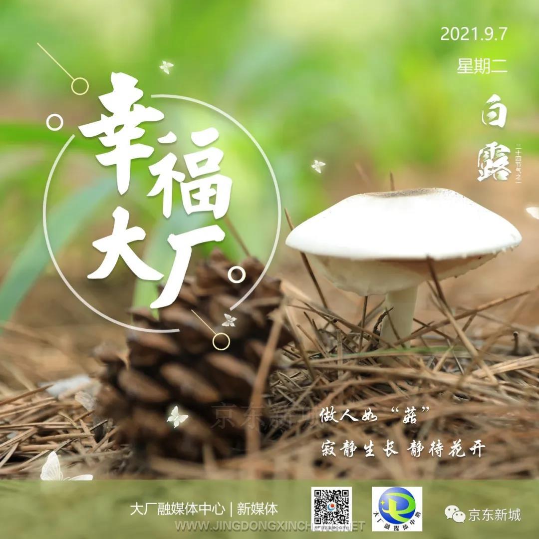 微信圖片_20210908093417.jpg