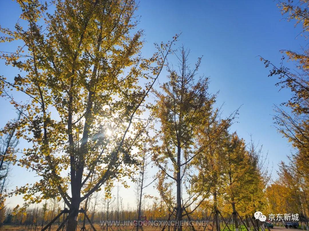 微信图片_20211106130420.jpg 微信图片_20211106130420.jpg