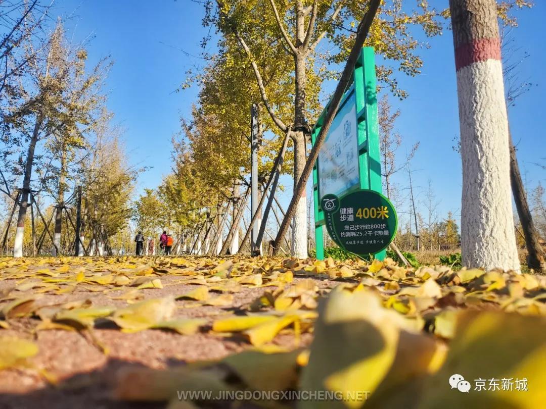 微信图片_20211106130424.jpg 微信图片_20211106130424.jpg