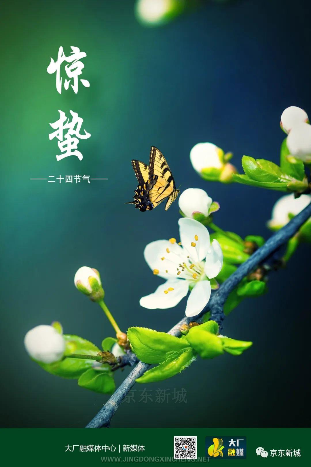 惊蛰 | 微雨众卉新 一雷惊蛰始