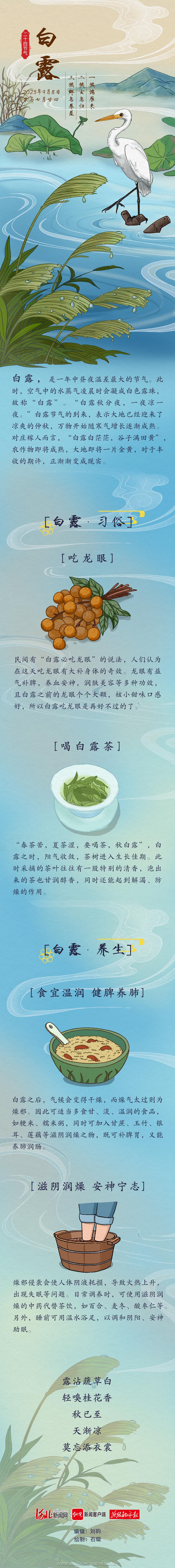 白鷺.jpg