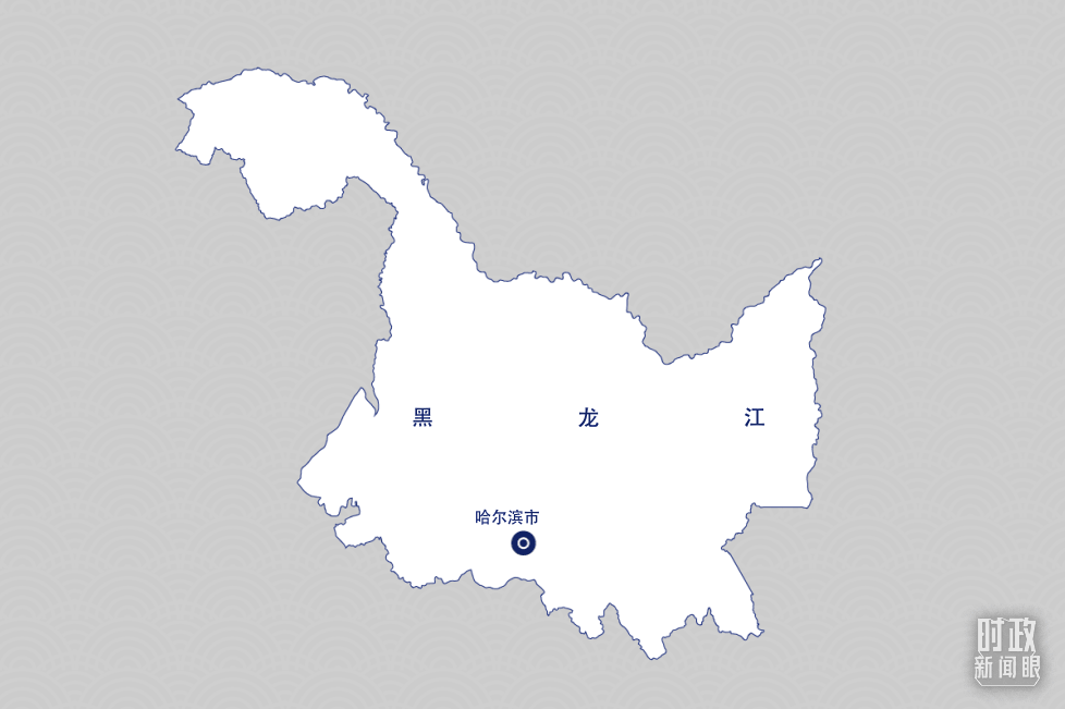 习近平2.gif 习近平2.gif