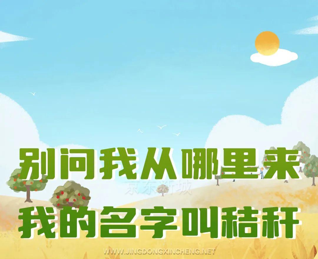 秸秆_副本1.jpg