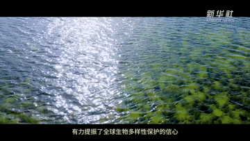 3.gif