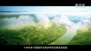 5.gif
