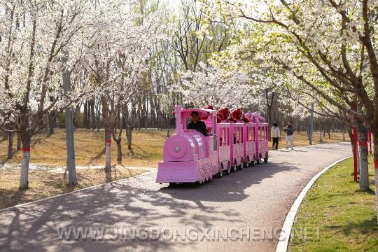 游客在潮白河樱花公园乘坐缆车观光。潘宇杰摄.jpg 游客在潮白河樱花公园乘坐缆车观光。潘宇杰摄.jpg
