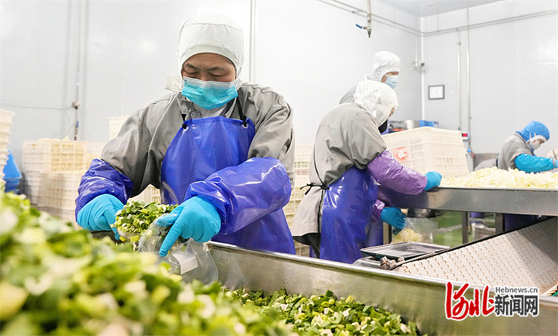 1 (16).JPG 1 (16).JPG