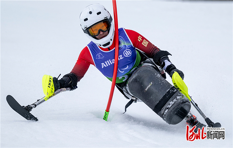 1 (19).JPG 1 (19).JPG